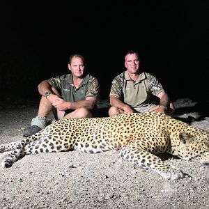 Zimbabwe Hunting Leopard