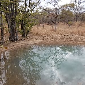 Waterhole at camp