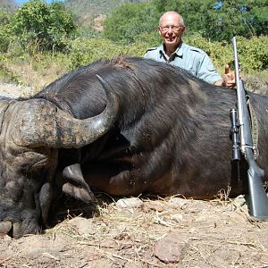 Cape Buffalo Hunting in Zimbabwe