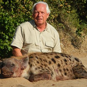 Zimbabwe Hunting Spotted Hyena