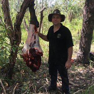 Hunting Asiatic Water Buffalo in Australia