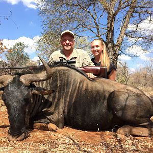 Blue Wildebeest Hunting in South Africa