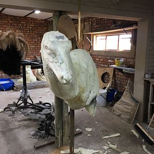 Start of my SA taxidermy