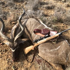 Kudu Hunt in South Africa