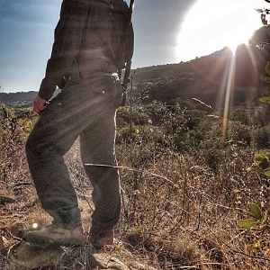 Hunting Cape Buffalo South Africa