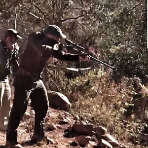 Cape Buffalo Hunt South Africa