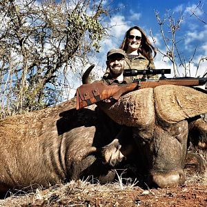 Hunt Cape Buffalo South Africa