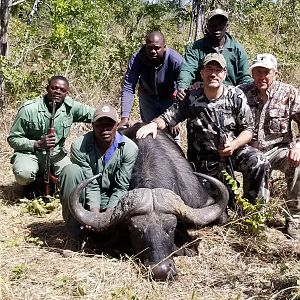 Cape Buffalo Hunt in Tanzania