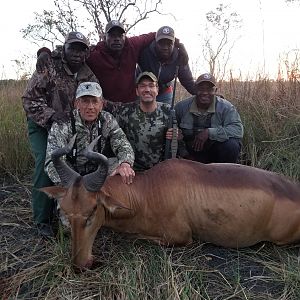 Lichtenstein Hartebeest Hunting in Tanzania