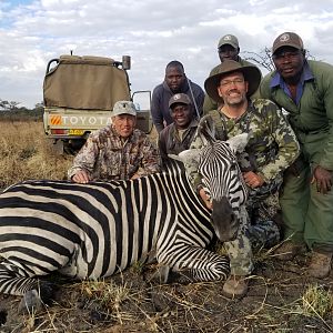 Hunt Burchell's Plain Zebra Tanzania