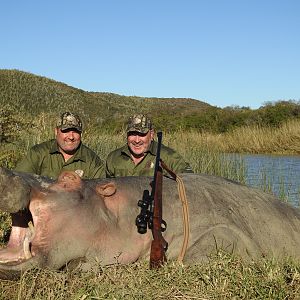 South Africa Hunting Hippo