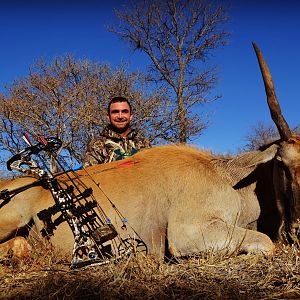 Eland Bow Hunt South Africa