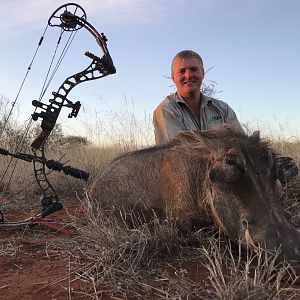 Warthog Bow Hunting South Africa