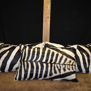 Hartmann's Mountain Zebra Pillow