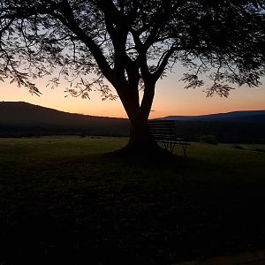 Beautiful sunset off the porch!