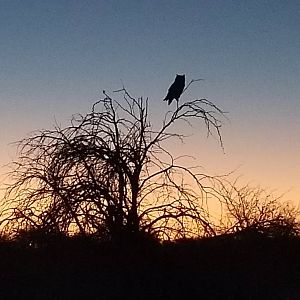 South Africa Sunset