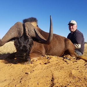 South Africa Hunt Black Wildebeest