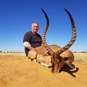 Impala Hunting in South Africa