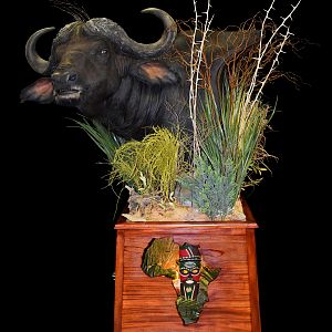 Cape Buffalo Shoulder Mount Pedestal Taxidermy