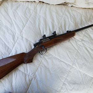 Remington Mohawk 600 Rifle