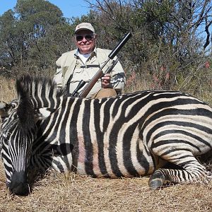 South Africa Hunting Burchell's Plain Zebra