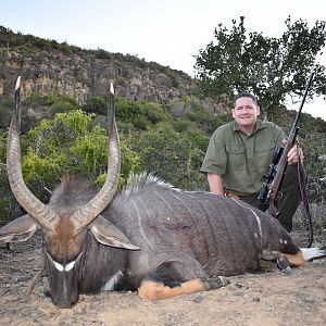 Nyala Hunt in South Africa