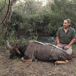 Nyala Hunting in South Africa