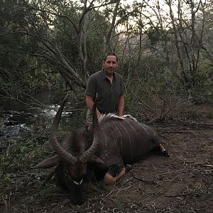 South Africa Hunt Nyala