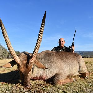 Waterbuck Hunt in South Africa