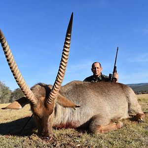 South Africa Hunting Waterbuck