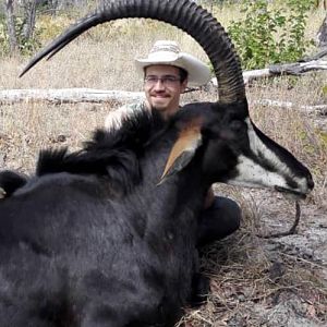 Sable Antelope Hunt in Zimbabwe