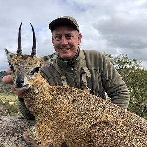 Hunt Klipspringer Zimbabwe