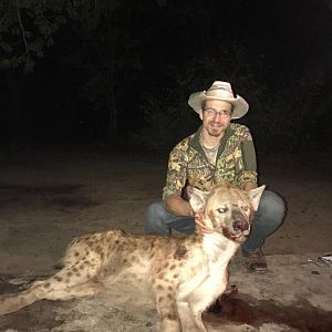 Zimbabwe Hunting Spotted Hyena