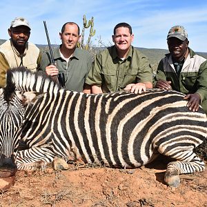 Burchell's Plain Zebra Hunt in South Africa