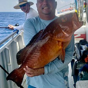 Fishing Southern Gulf of Mexico Pulley Ridge