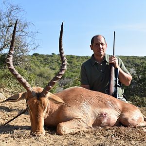 Impala Hunt in South Africa