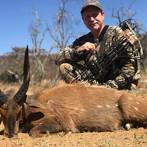 South Africa Bow Hunt Bushbuck