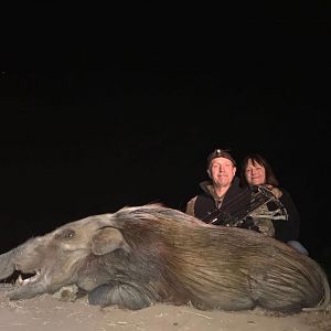 South Africa Bow Hunting Bushpig