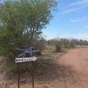 Hunting Camp South Africa