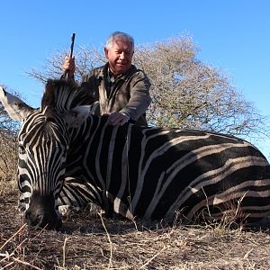 Hunt Burchell's Plain Zebra South Africa