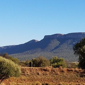 Hunting in South Africa