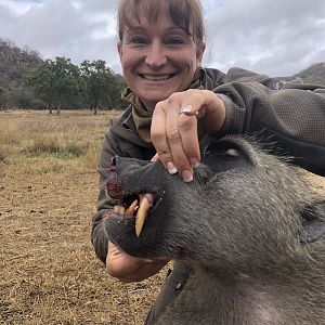 Zimbabwe Hunting Baboon