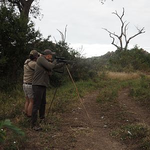 Zimbabwe Hunt Kudu