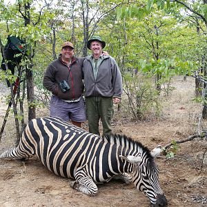 Zimbabwe Hunt Burchell's Plain Zebra