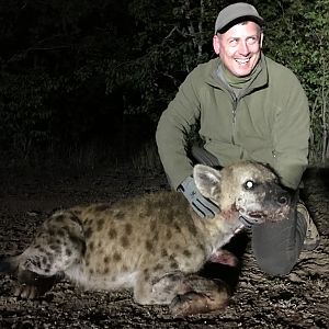 Spotted Hyena Hunting in Zimbabwe