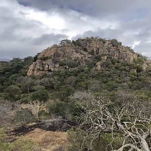 Hunting Area Zimbabwe