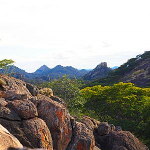 Hunting Area Zimbabwe