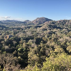 Zimbabwe Hunting Area