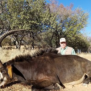 South Africa Hunting Sable