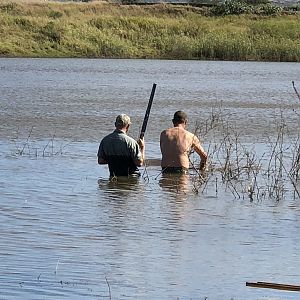 Recovering Hippo from Water